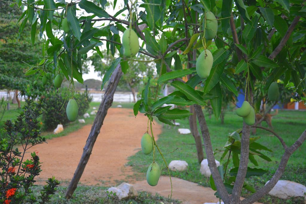 Serenity Lake Resort Yala ティッサマハーラーマ エクステリア 写真